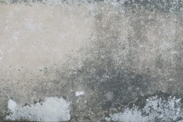 schimmel-wand Mietminderung wegen Schimmel – Beweislast